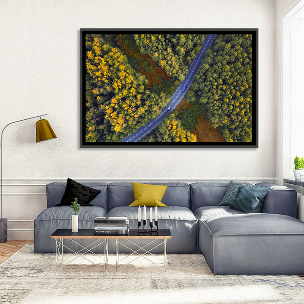 Aerial Autumn Forest Road Wall Art