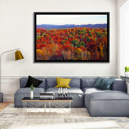 Autumn in the Appalachian Forest Wall Art