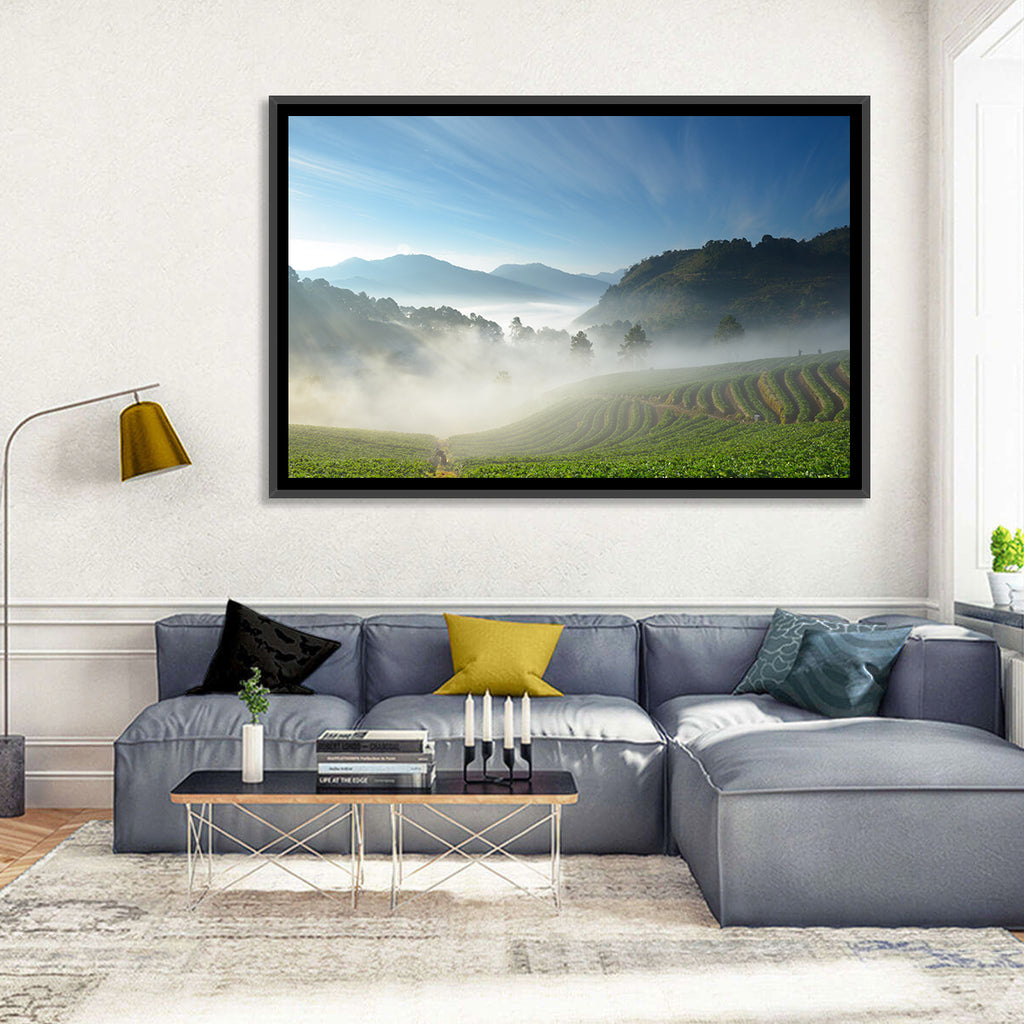Sunlit Terraced Tea Hills Wall Art