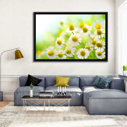 Chamomile Close-up Wall Art