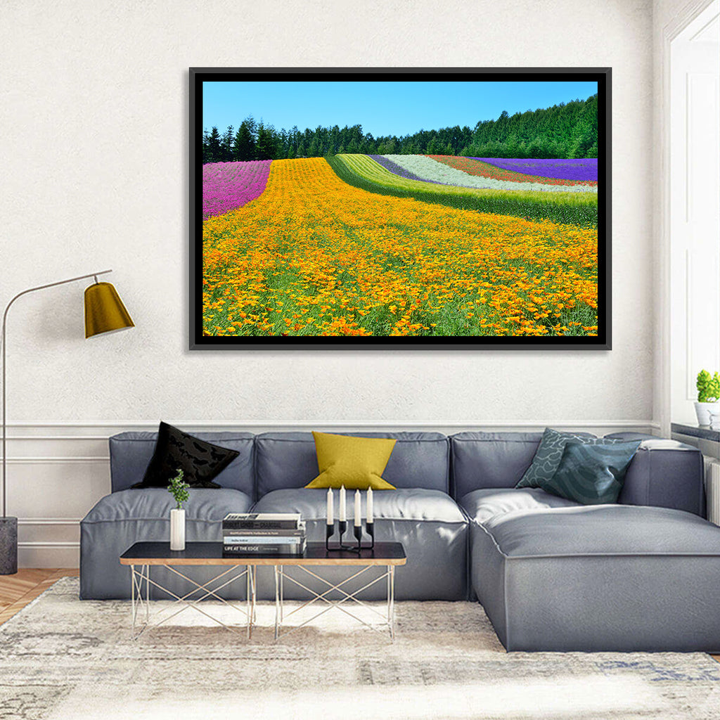 Tomita Flower Fields, Nakafurano Wall Art