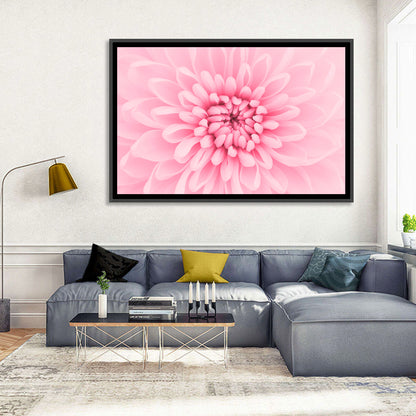 Pink Chrysanthemum Close-up Wall Art