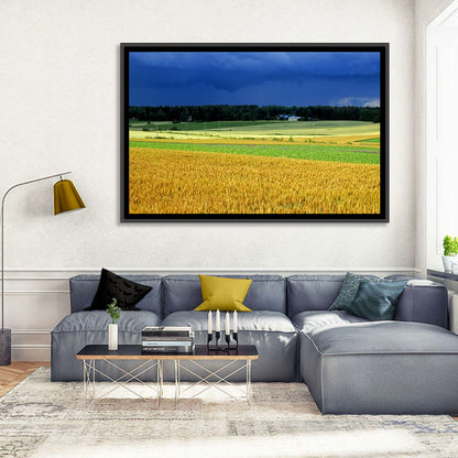 Cornfields Under Stormy Sky Wall Art