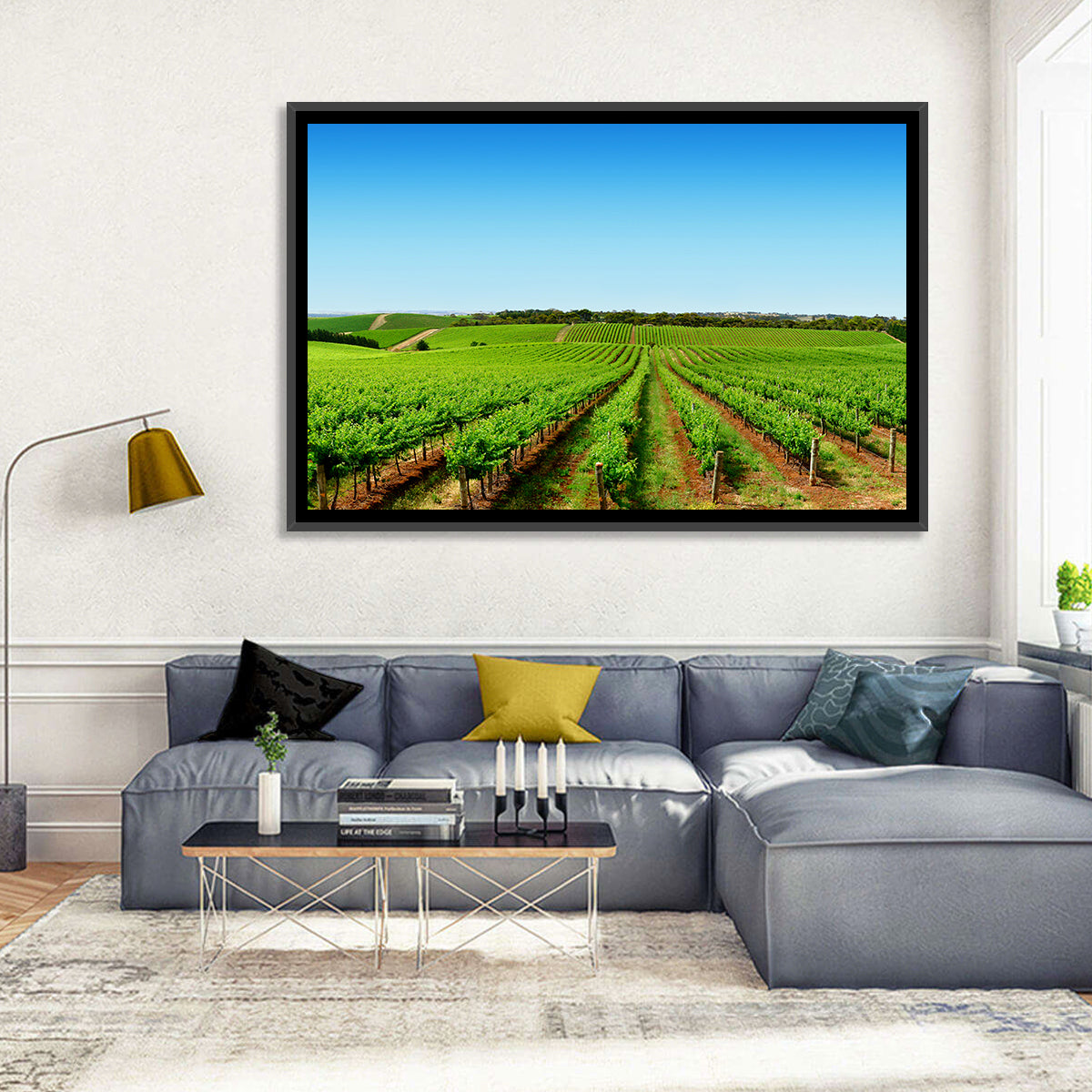 Sunlit Vineyard Rows Wall Art