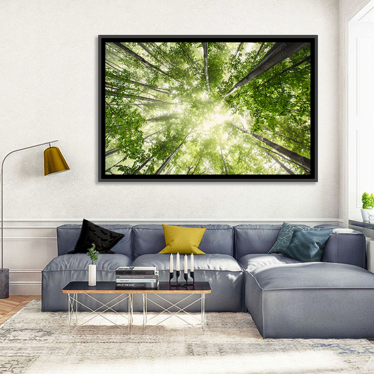 Spring Canopy in Morning Mist Wall Art in a room, landscape