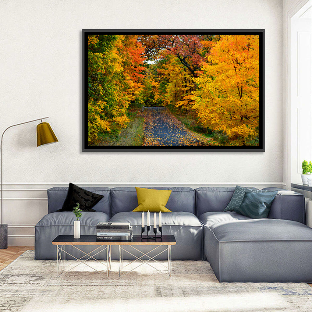 Autumn Road Through Wisconsin Park Wall Art