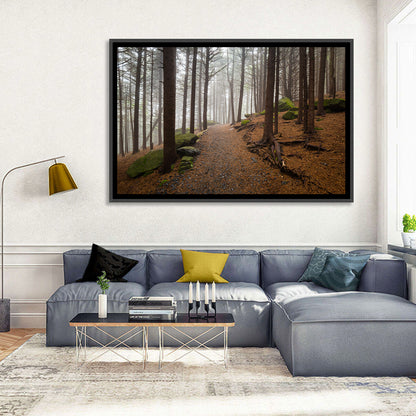 Misty Appalachian Trail Path Wall Art