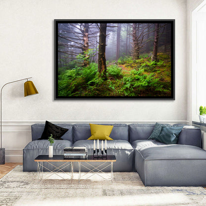 Misty Spruce-fir Trail Wall Art