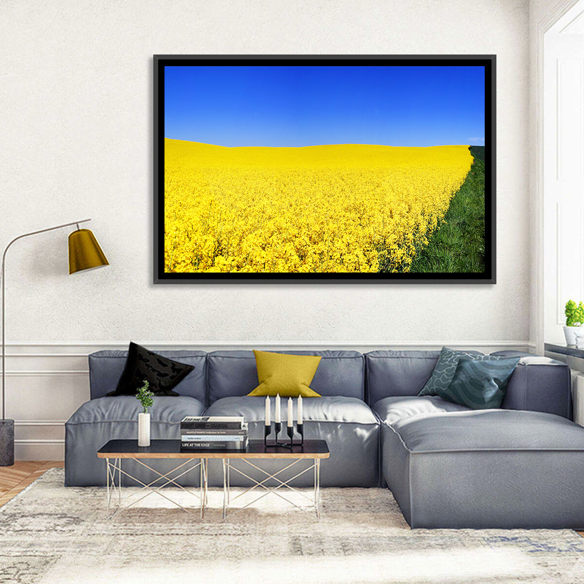 Sunlit Rapeseed Field Wall Art in a room, landscape
