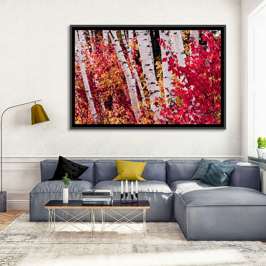 Autumn Birches with Crimson Maples Wall Art