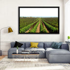 Tomato Fields Wall Art