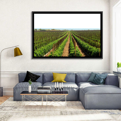 Tomato Fields Wall Art