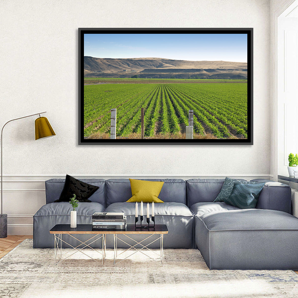 Idaho Corn Field Wall Art in a room, landscape