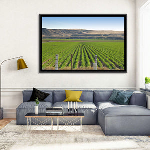 Idaho Corn Field Wall Art