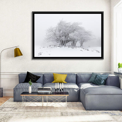 Rime Coated Winter Trees Wall Art