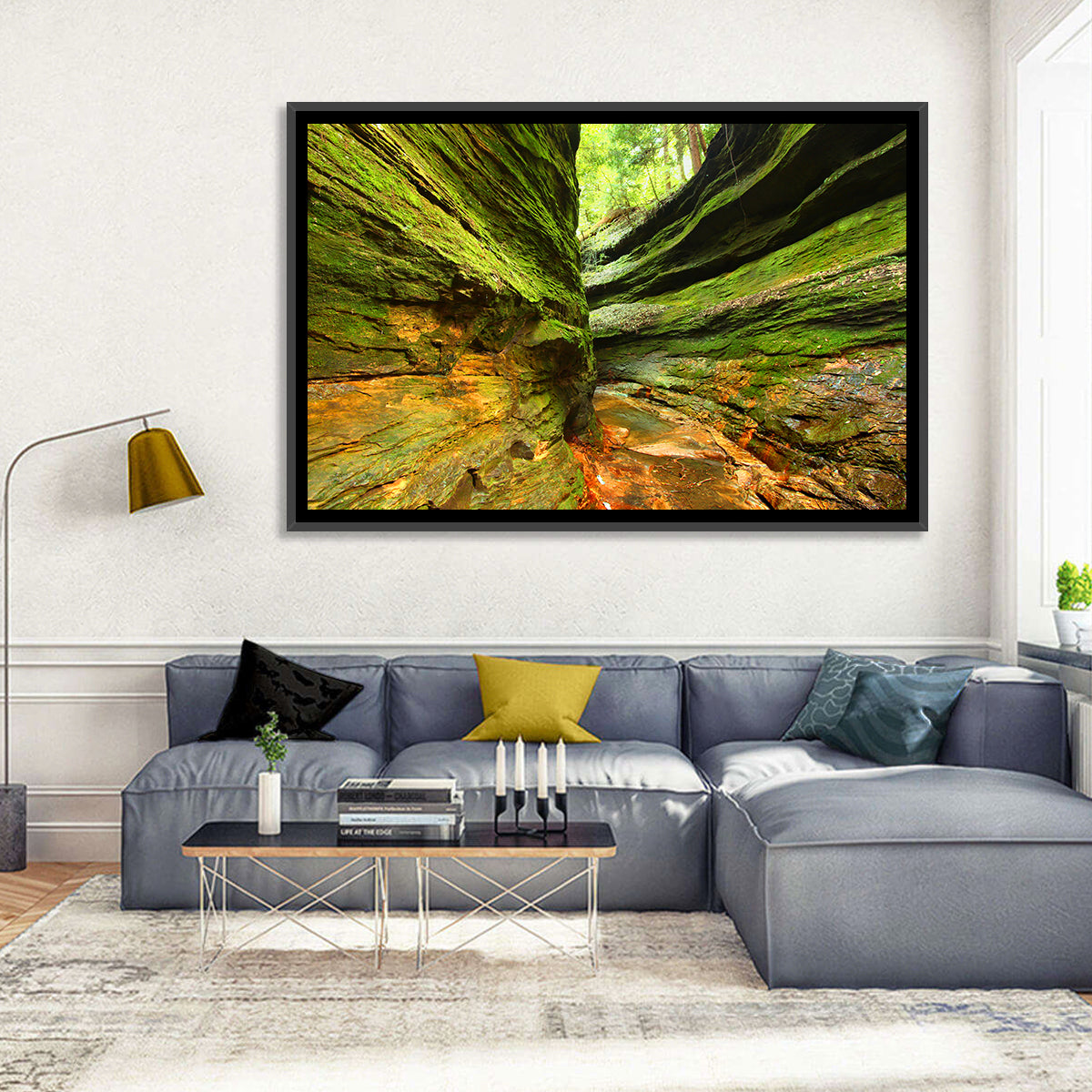 Turkey Run State Park Canyon Wall Art in a room, landscape