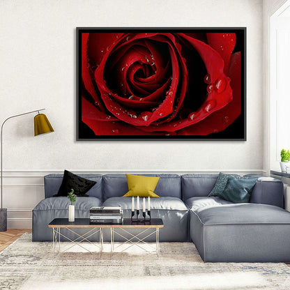 Red Rose with Dew Drops Wall Art