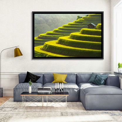 Golden Rice Terraces Wall Art