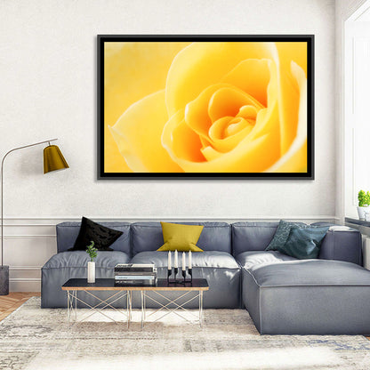 Soft-lit Yellow Rose Close-up Wall Art