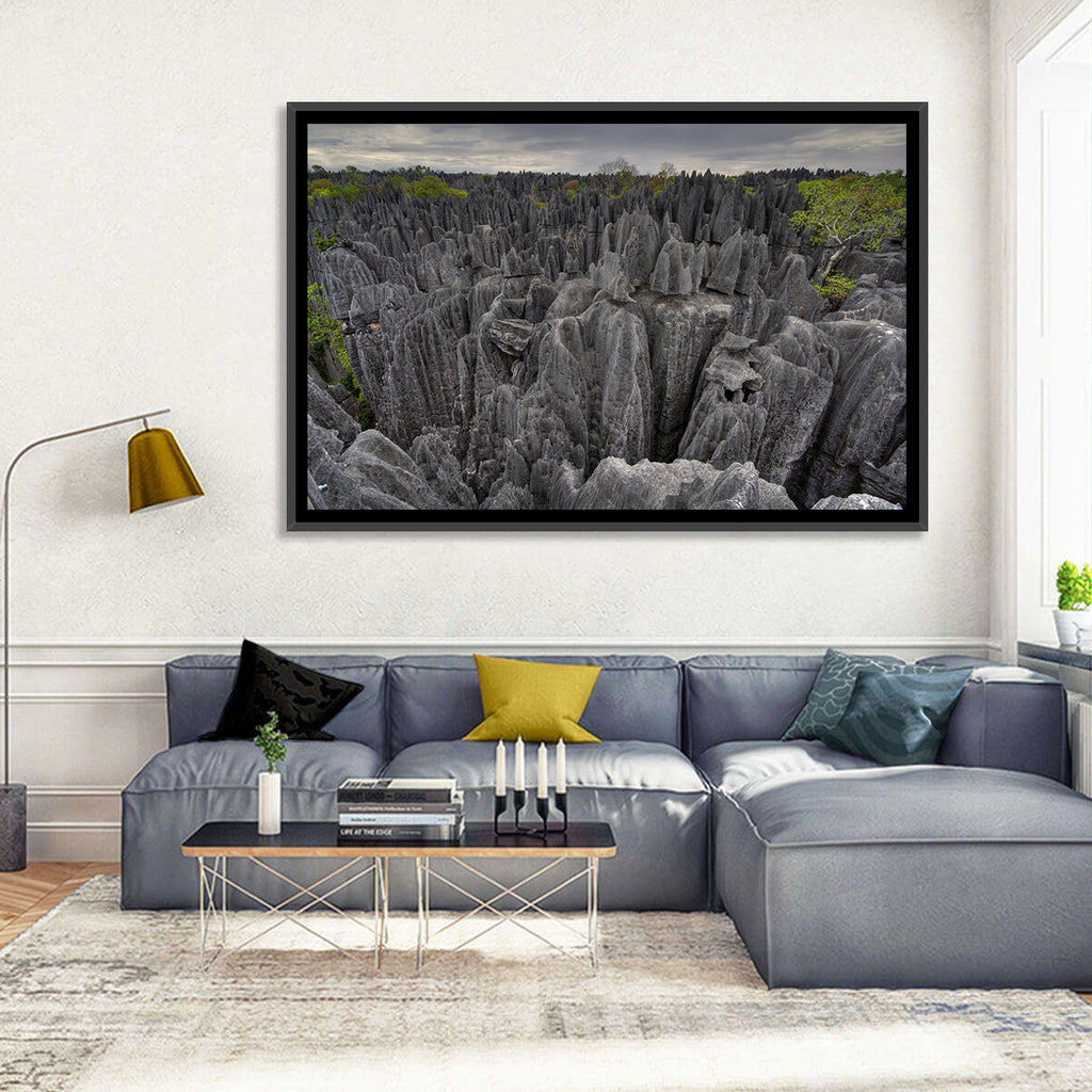 Tsingy De Bemaraha Pinnacles Wall Art