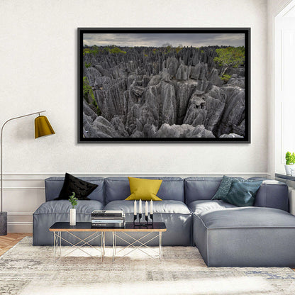 Tsingy De Bemaraha Pinnacles Wall Art