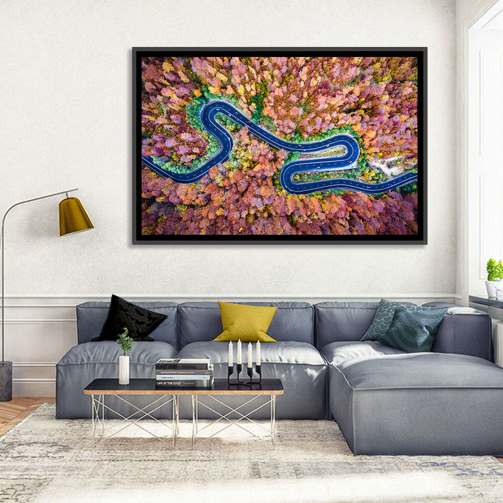 Aerial Winding Road Wall Art