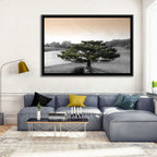 Bonsai Pine in Japanese Garden Wall Art