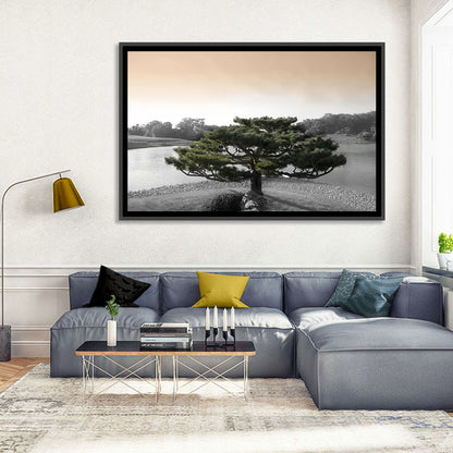 Bonsai Pine in Japanese Garden Wall Art