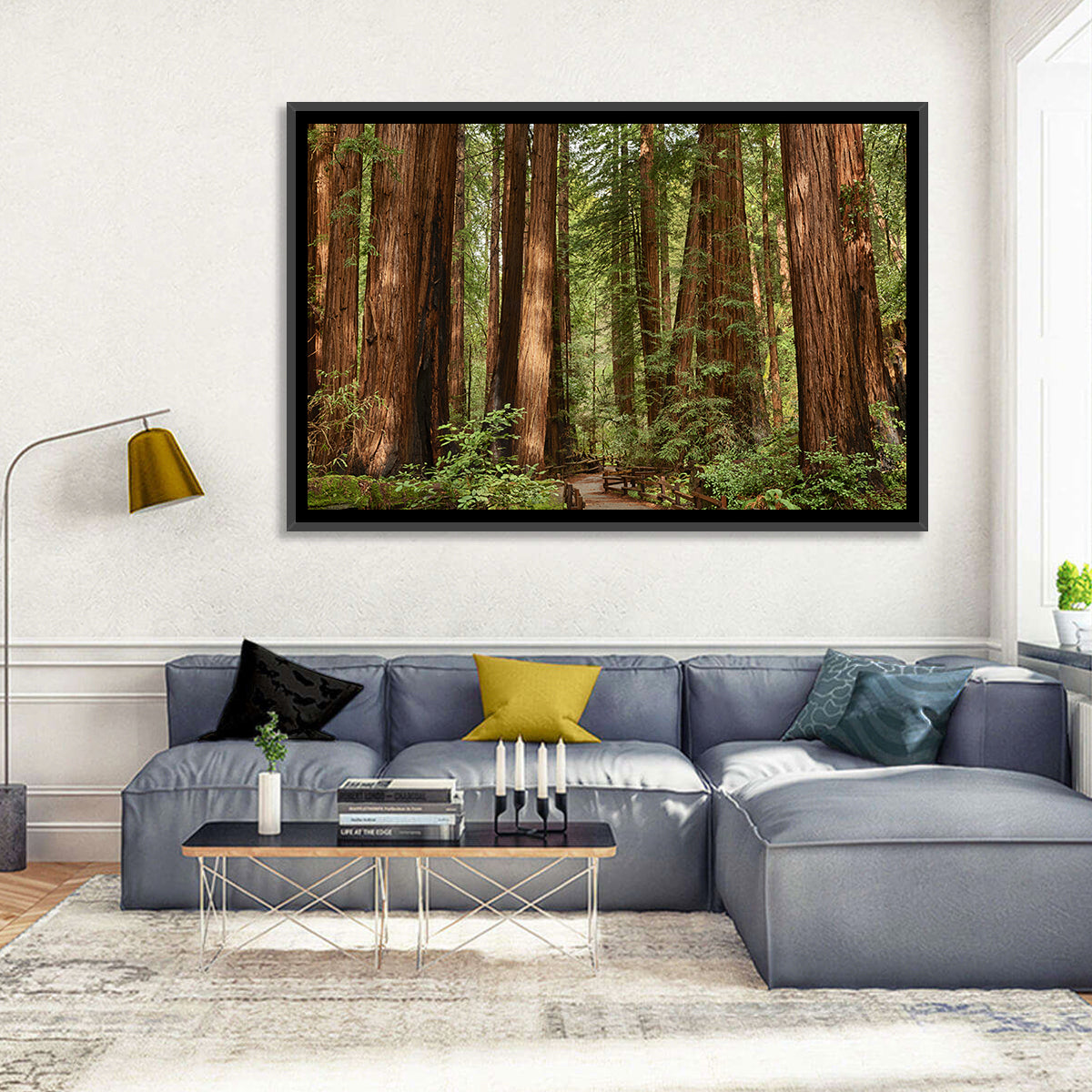 Muir Woods Redwood Trail Wall Art