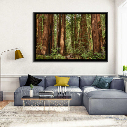 Muir Woods Redwood Trail Wall Art