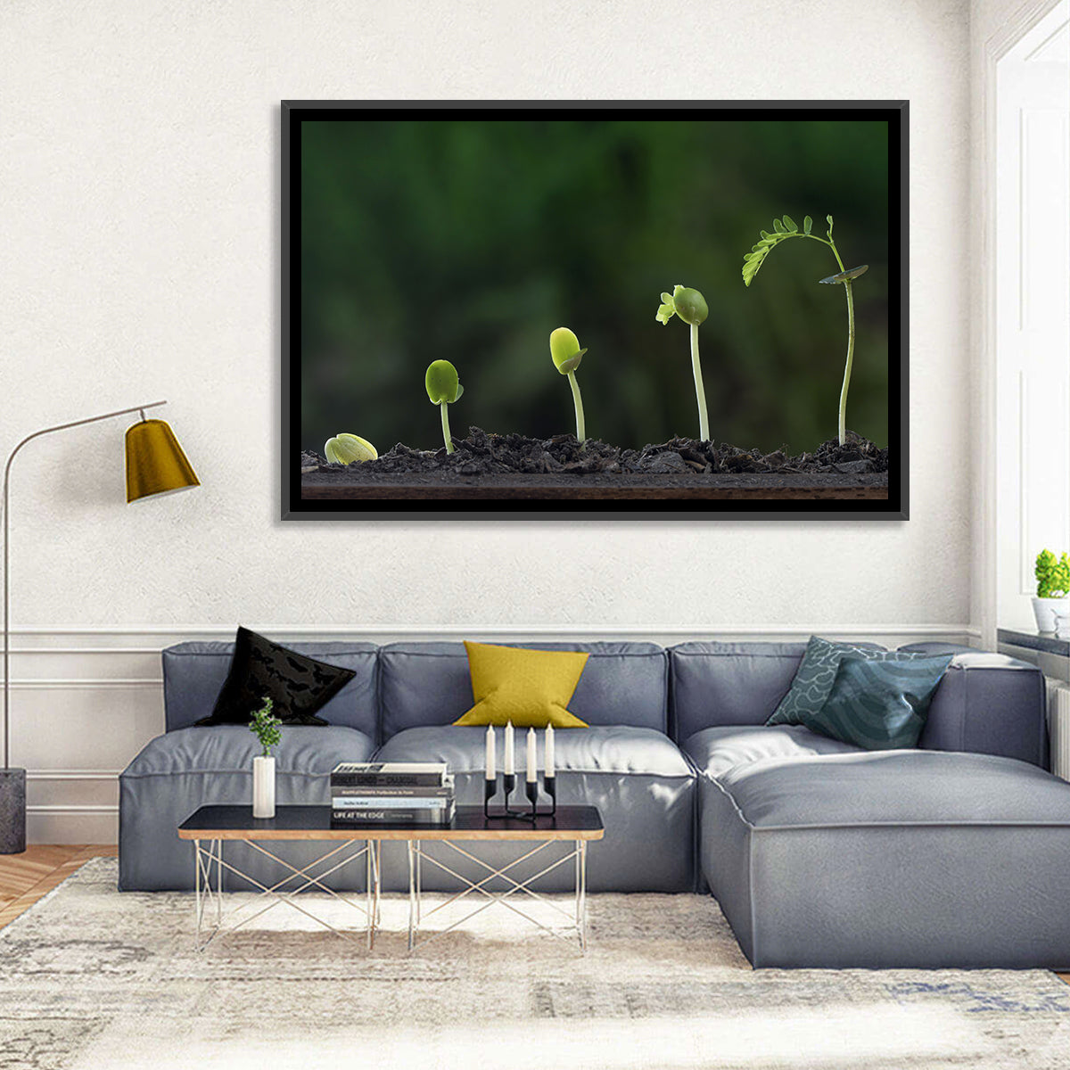 Five-stage Plant Growth Wall Art in a room, landscape