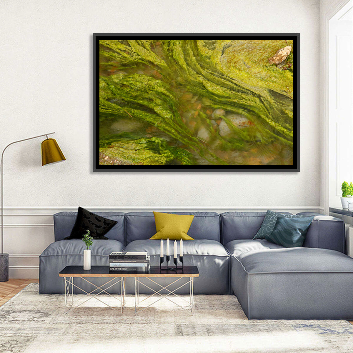 Macro Algae Stream Wall Art in a room, landscape