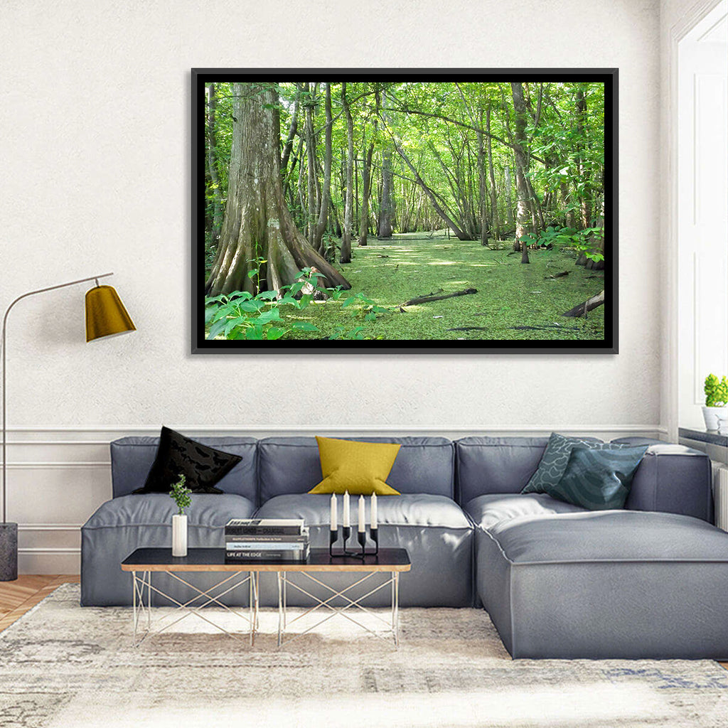 Summer Cypress Bayou, Louisiana Wall Art