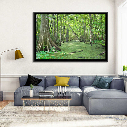 Summer Cypress Bayou, Louisiana Wall Art
