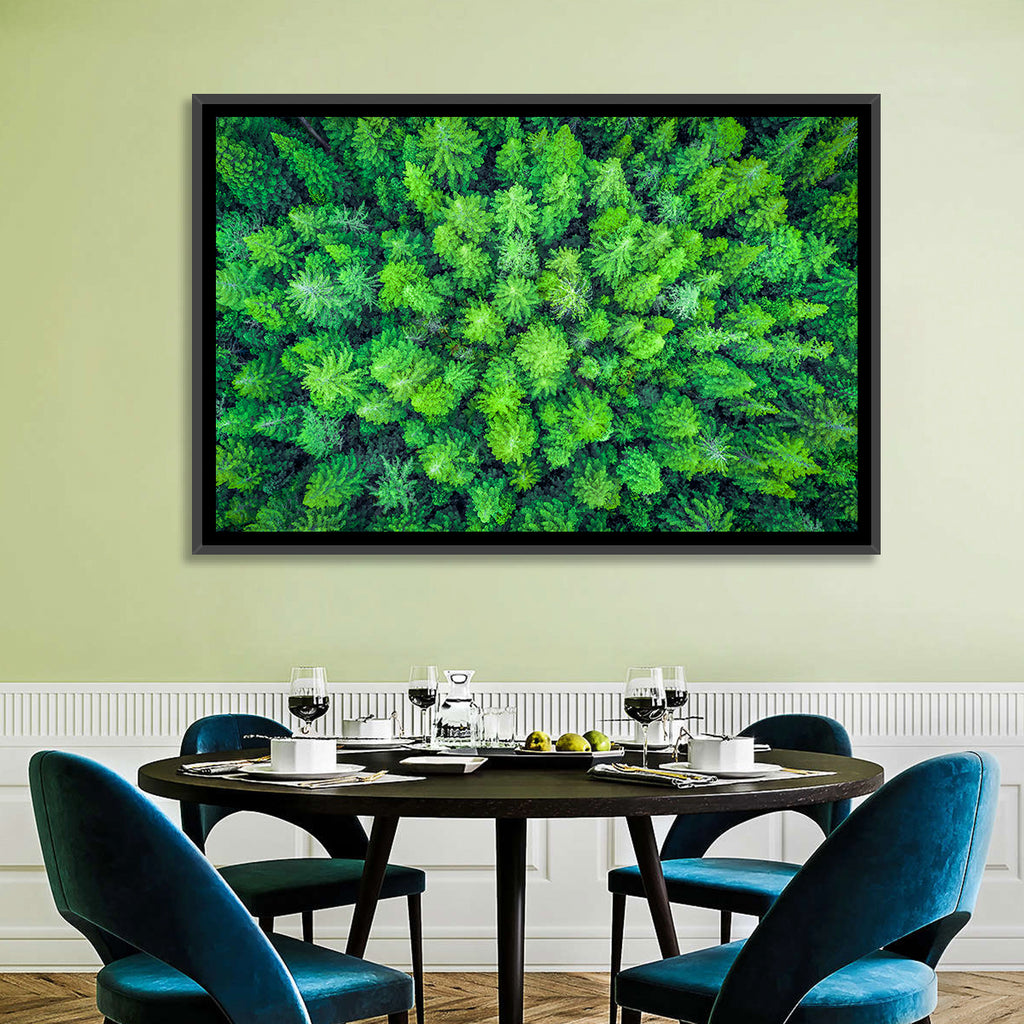 Whakarewarewa Forest Canopy Wall Art