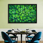 Whakarewarewa Forest Canopy Wall Art