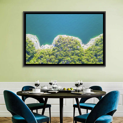 Lake Travis Shoreline Aerial Wall Art