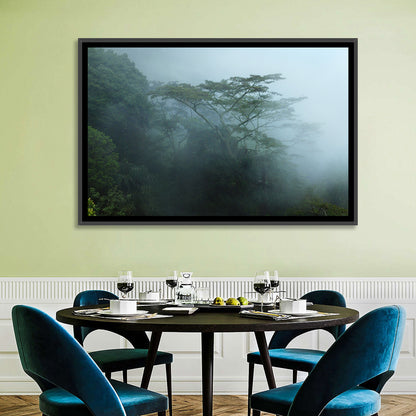 Misty Rainforest Canopy Wall Art