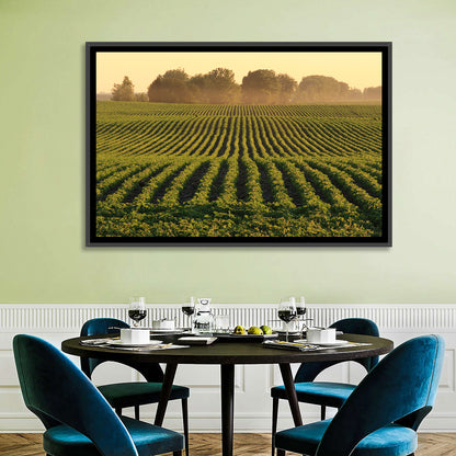 Misty Soybean Field at Dusk Wall Art
