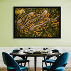 Aerial Curvy Forest Road Wall Art