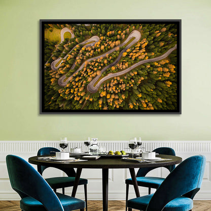 Aerial Curvy Forest Road Wall Art