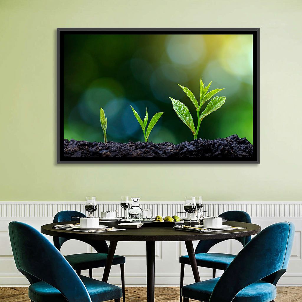 Seedling Growth Stages Wall Art