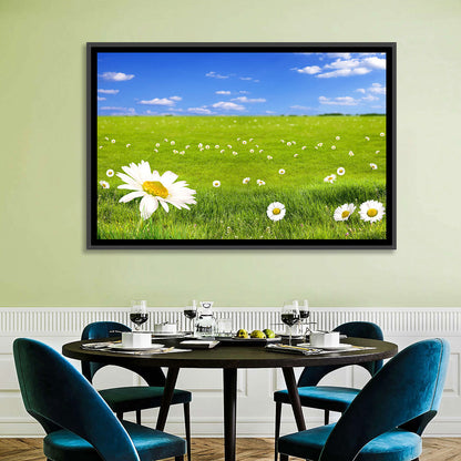 Spring Daisy Meadow Wall Art