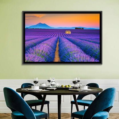 Valensole Lavender Fields at Sunset Wall Art