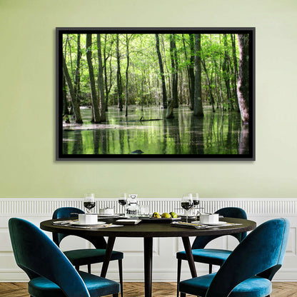 Sunlit Swamp Forest Wall Art