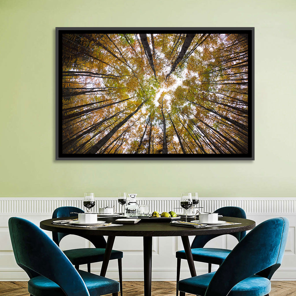 Autumn Forest Canopy Looking Up Wall Art