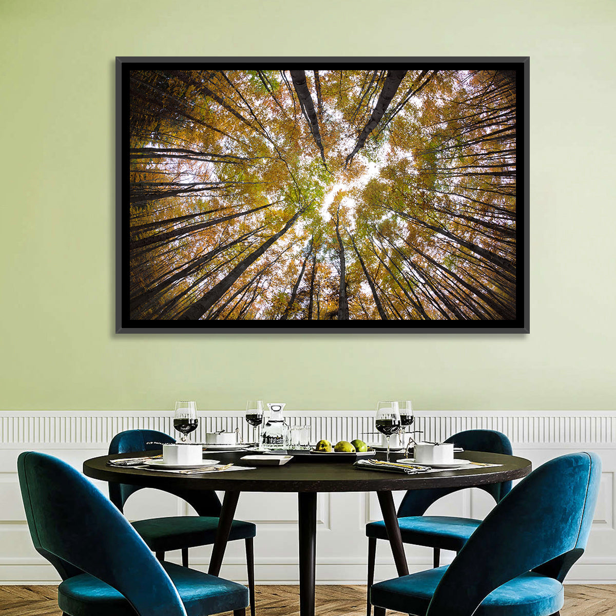 Autumn Forest Canopy Looking Up Wall Art