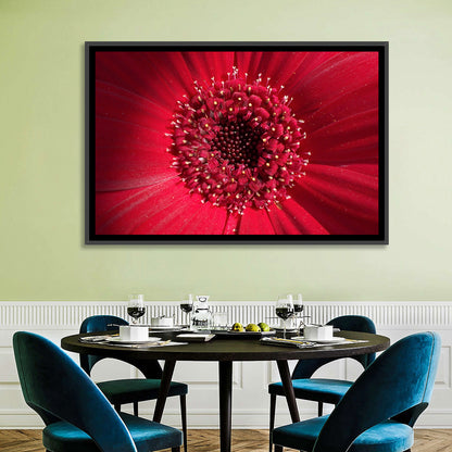 Red Gerbera Daisy Macro Close Up Wall Art