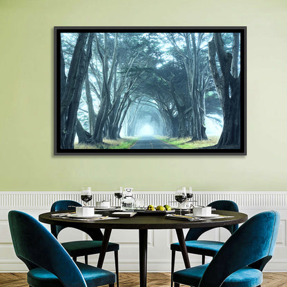 Foggy Cypress Tree Tunnel Wall Art