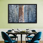 Winter Giant Sequoia in Snowy Forest Wall Art